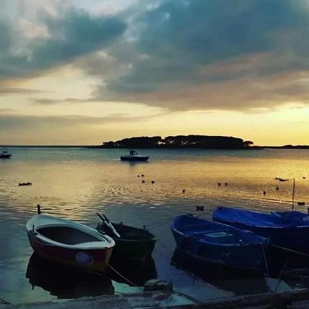 B&B Fior di Mare Porto Cesareo Bagian luar foto